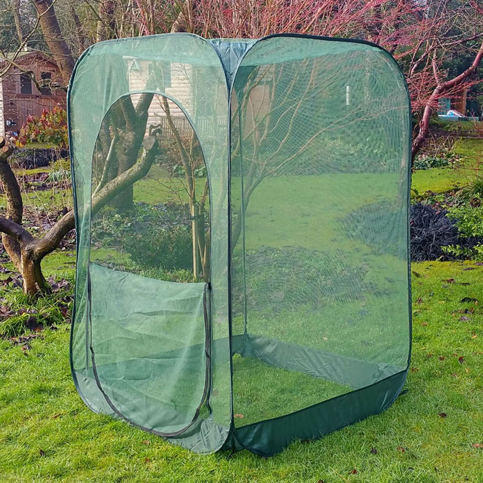 Buy Pop Up Raspberry Fruit Cage & Plant Cover online UK