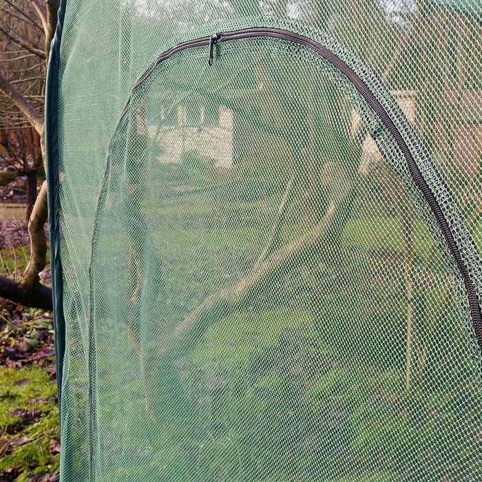 Buy Pop Up Raspberry Fruit Cage & Plant Cover online UK