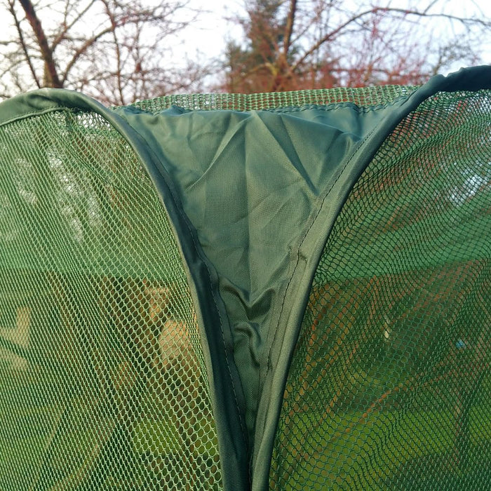 Buy Pop Up Raspberry Fruit Cage & Plant Cover online UK