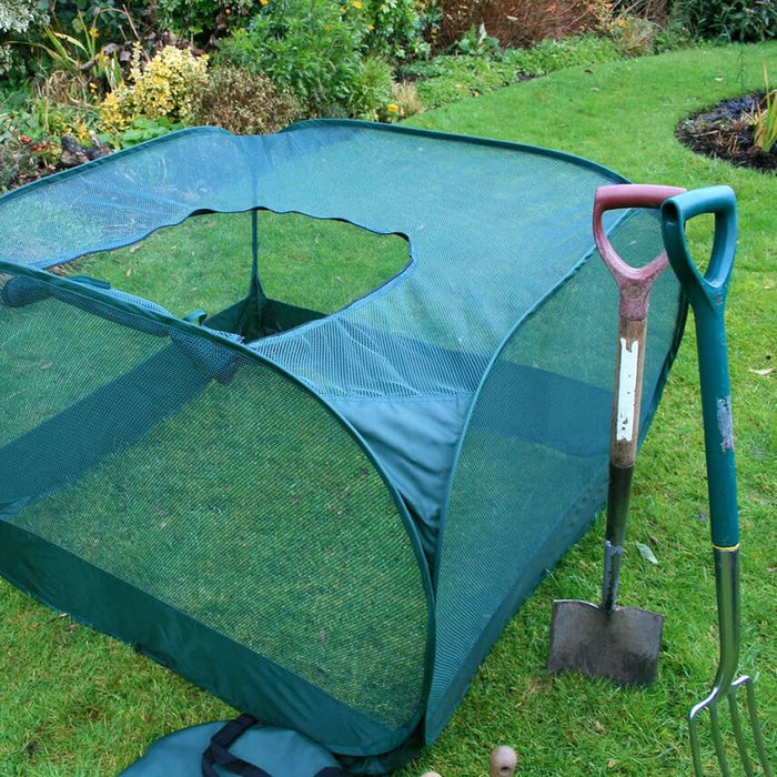 Buy Pop Up Strawberry & Salad Fruit Cage Plant Cover online UK