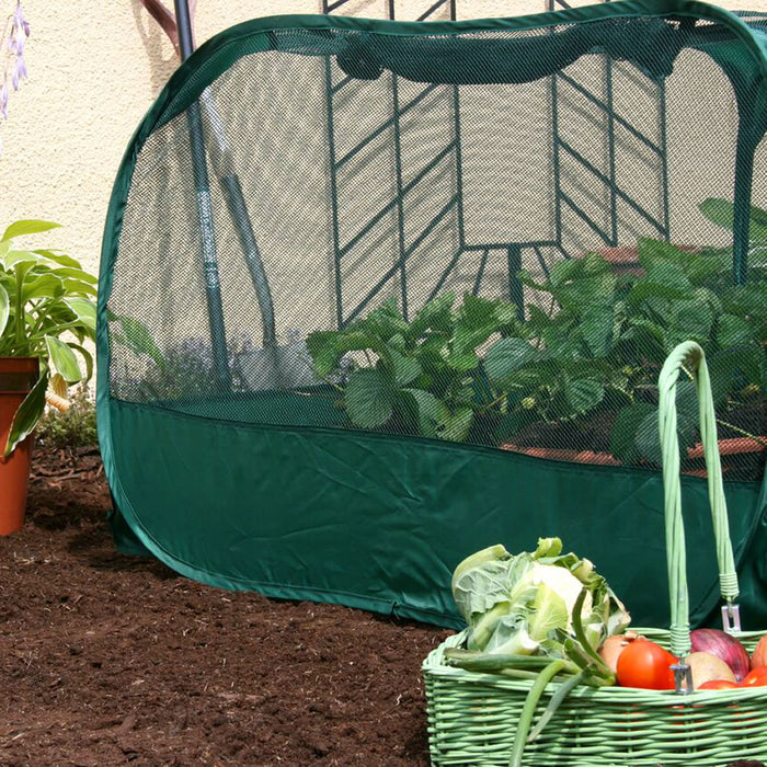 Buy Pop Up Strawberry & Salad Fruit Cage Plant Cover online UK