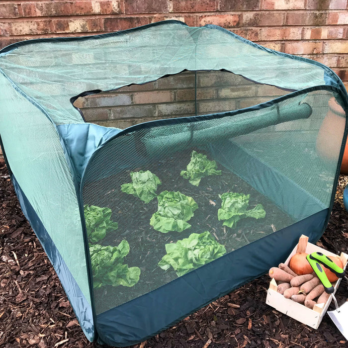 Buy Pop Up Strawberry & Salad Fruit Cage Plant Cover online UK