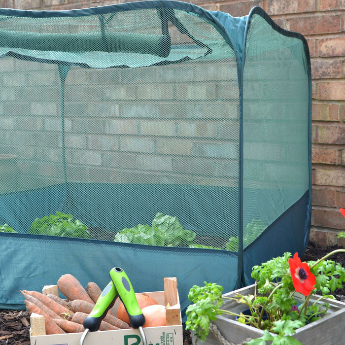 Buy Pop Up Strawberry & Salad Fruit Cage Plant Cover online UK