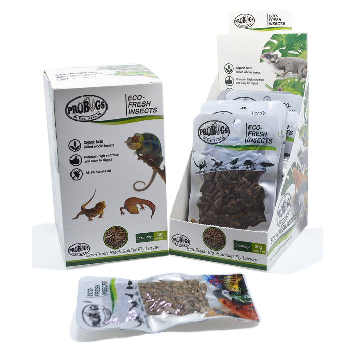 Buy ProBugs Eco Fresh Black Soldier Fly Larvae 20g - 10 Packs online UK