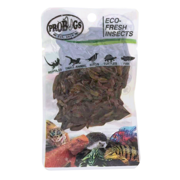 Buy ProBugs Eco Fresh Black Soldier Fly Larvae 20g - 10 Packs online UK