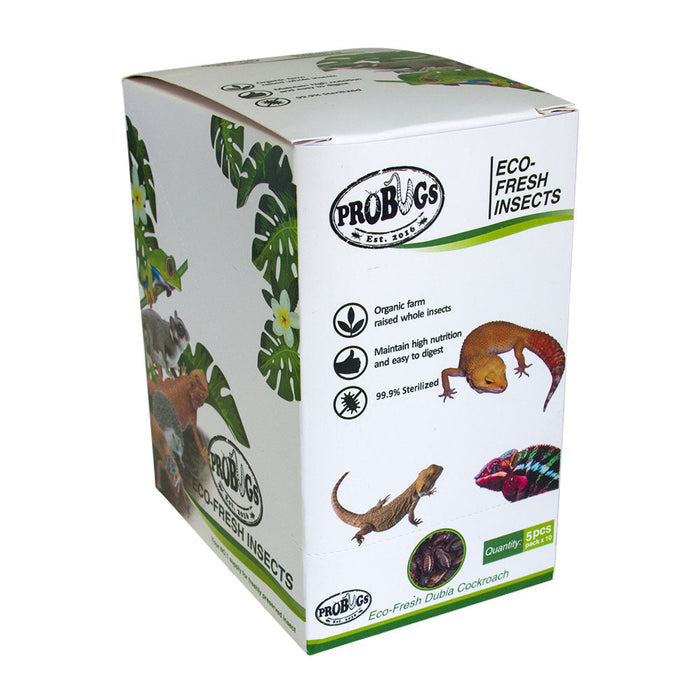Buy ProBugs Eco Fresh Dubia Cockroach 5pcs - 10 Packs online UK