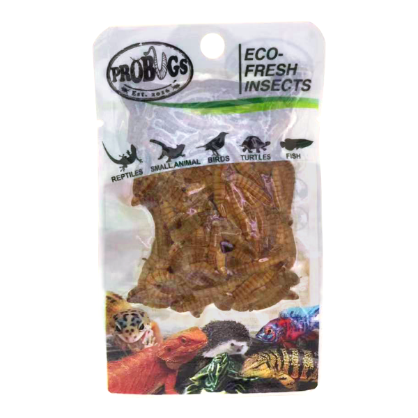 Buy ProBugs Eco Fresh Mealworm 20g - 10 Packs online UK