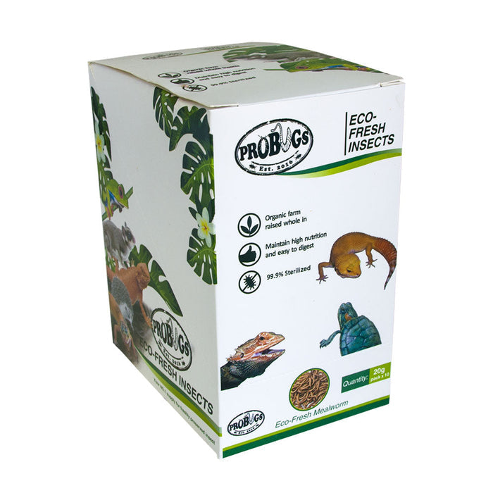 Buy ProBugs Eco Fresh Mealworm 20g - 10 Packs online UK