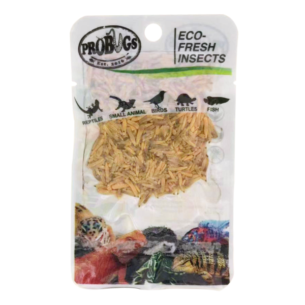 Buy ProBugs Eco Fresh Riceworm 15g - 10 Packs online UK