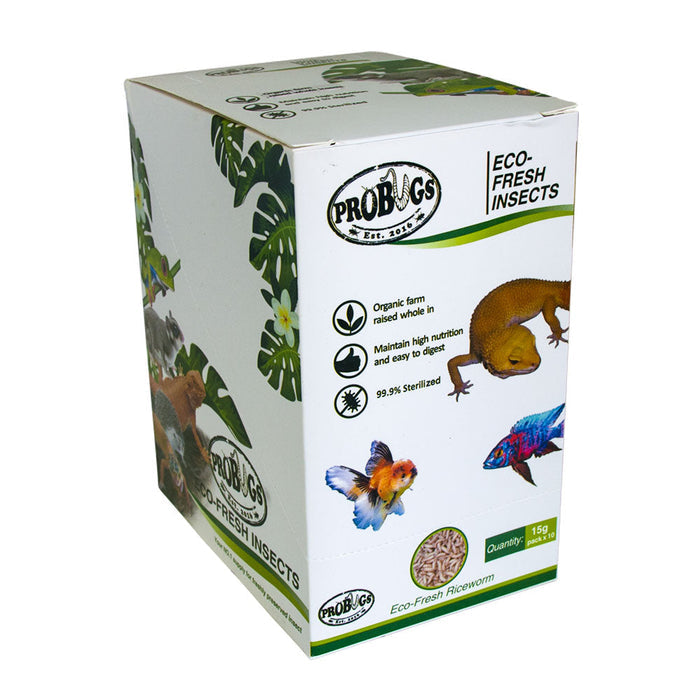 Buy ProBugs Eco Fresh Riceworm 15g - 10 Packs online UK