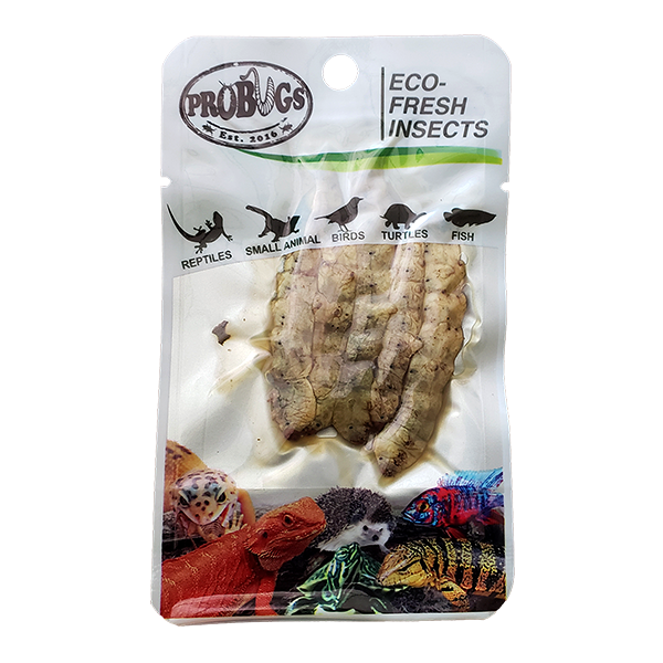 Buy ProBugs Eco Fresh Silkworm 5pcs - 10 Packs online UK