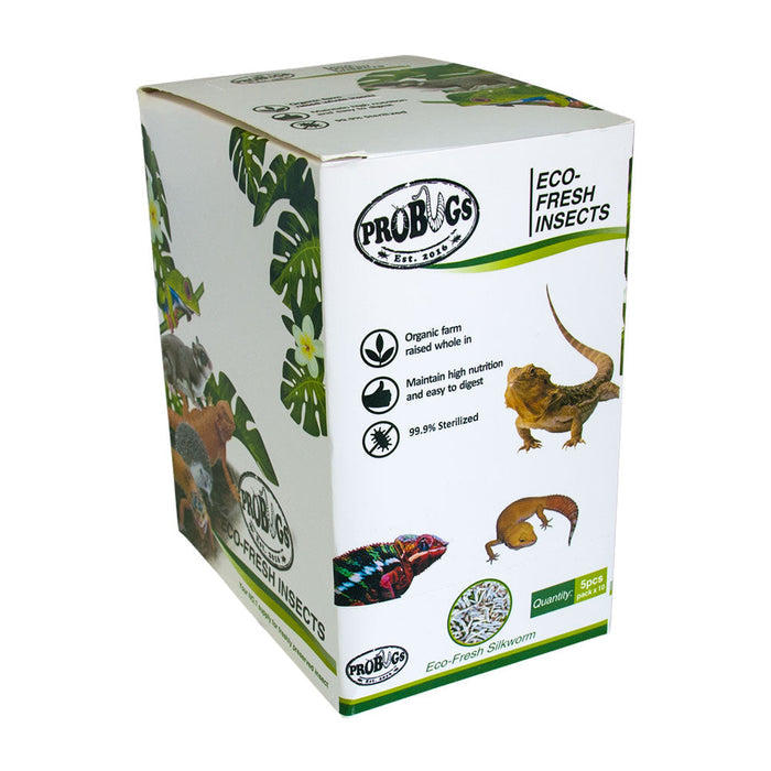 Buy ProBugs Eco Fresh Silkworm 5pcs - 10 Packs online UK