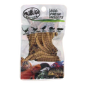 Buy ProBugs Eco Fresh Superworm 20g - 10 Packs online UK