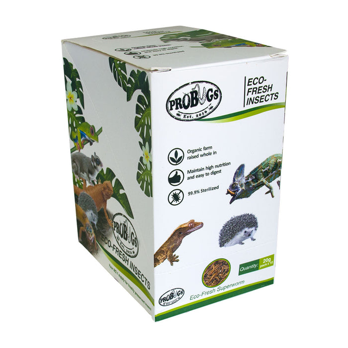 Buy ProBugs Eco Fresh Superworm 20g - 10 Packs online UK