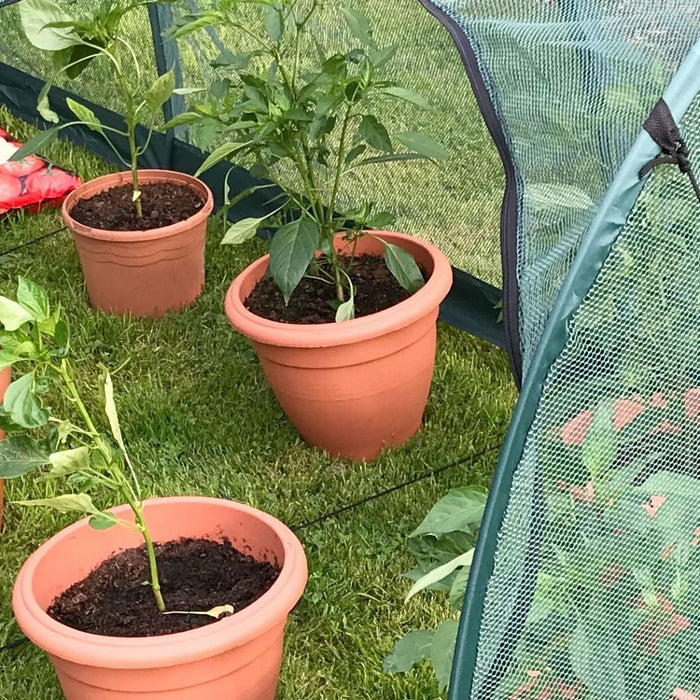 Buy Professional Garden Grow Tunnel & Plant Protection Cover - 3m x 1.5m x 1.5m online UK