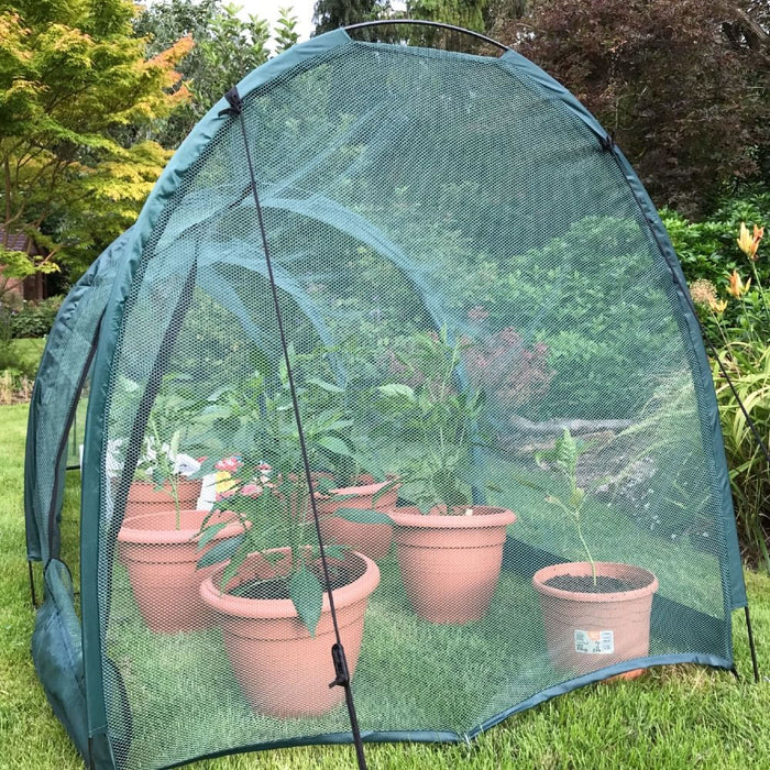 Buy Professional Garden Grow Tunnel & Plant Protection Cover - 3m x 1m x 1m online UK