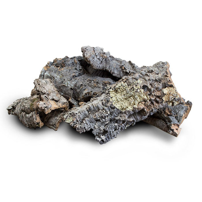 Buy ProRep Cork Bark Flat Pieces online UK