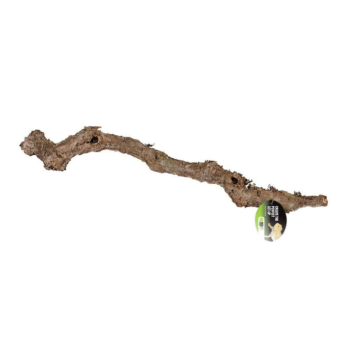 Buy ProRep Cork Oak Branch online UK