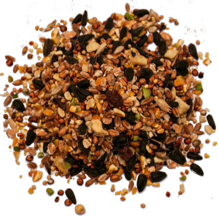 Buy Red Barn Fruity Wild Bird Feed online UK