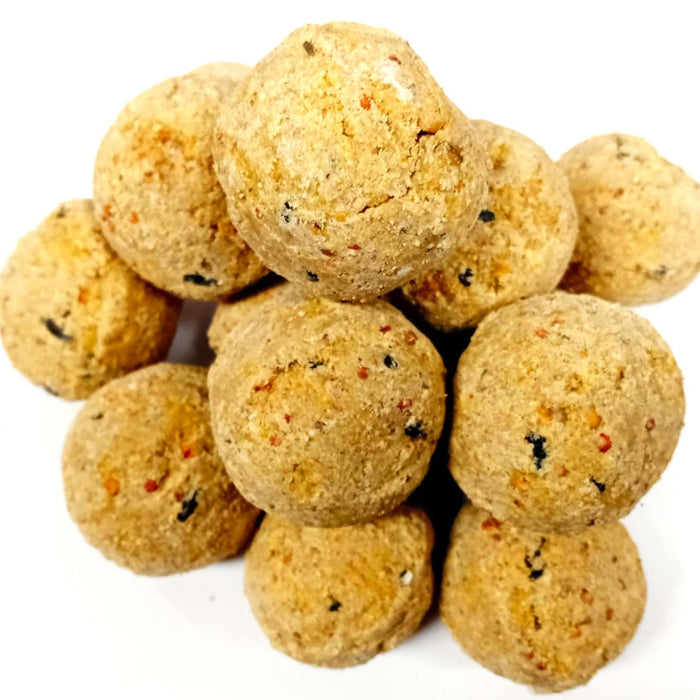 Buy Red Barn Insect Fat Balls online UK