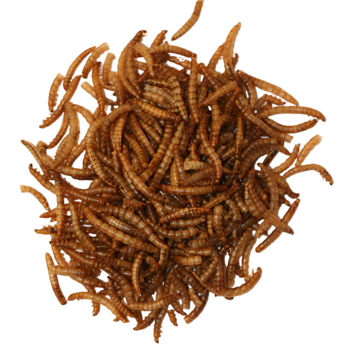 Buy Red Barn Mealworms Bird Food online UK