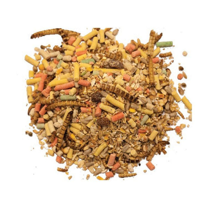 Buy Red Barn Robin & Blackbird Mealworm Feast online UK