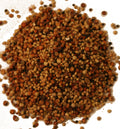 Buy Red Barn Super Fine Bird Seed online UK