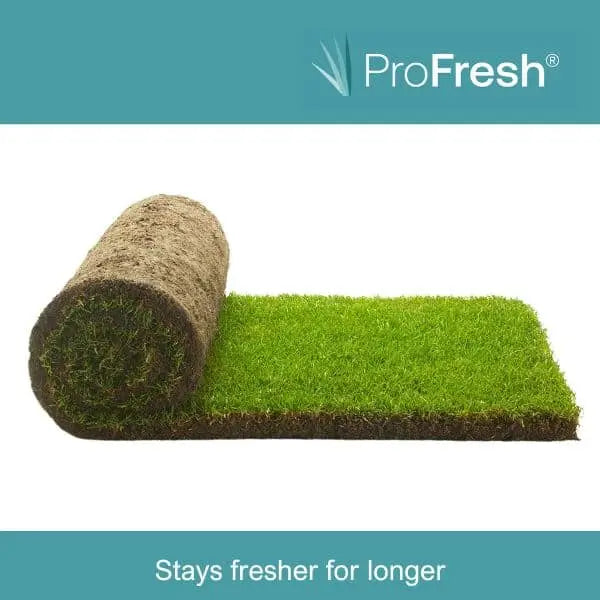 Rolawn Medallion Turf