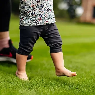 Rolawn Medallion Turf