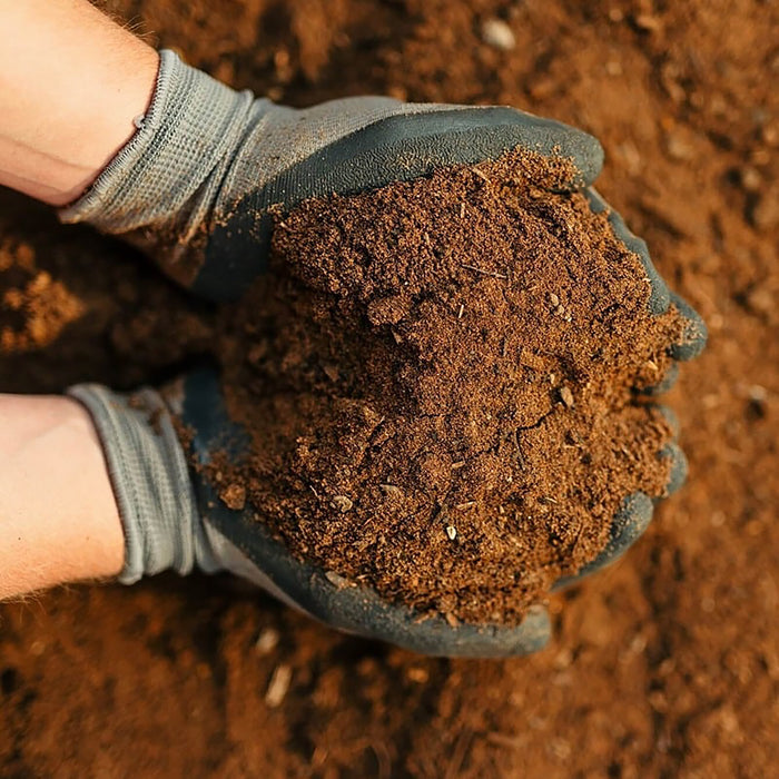 Rolawn Turfing & Lawn Seeding Topsoil