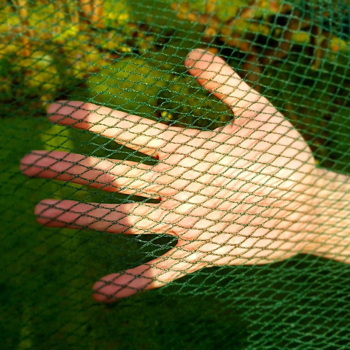 Buy Soft Butterfly Mesh Netting for Cabbages, Brassicas & Plants online UK