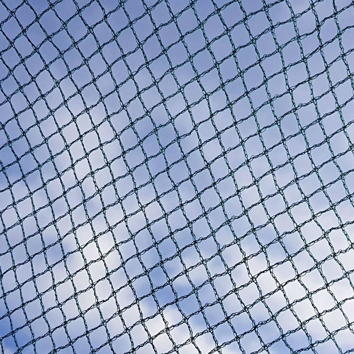 Buy Soft Butterfly Mesh Netting for Cabbages, Brassicas & Plants online UK