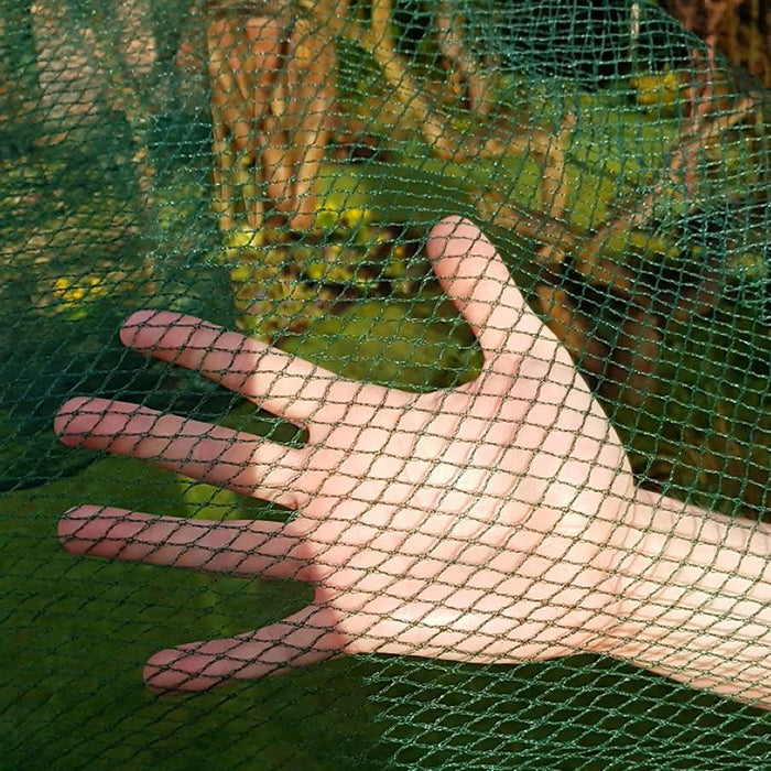 Buy Soft Butterfly Mesh Netting for Cabbages, Brassicas & Plants online UK