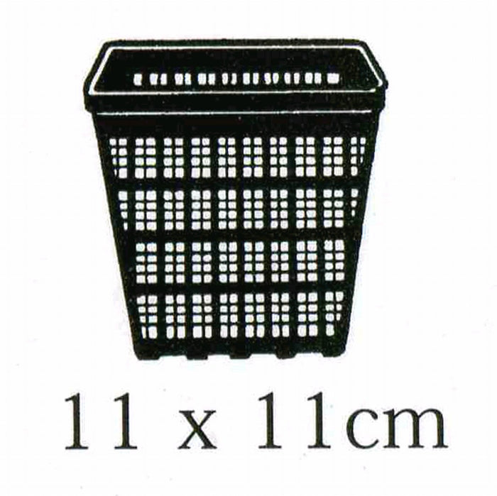 Buy Square Aquatic Pot 11cm online UK