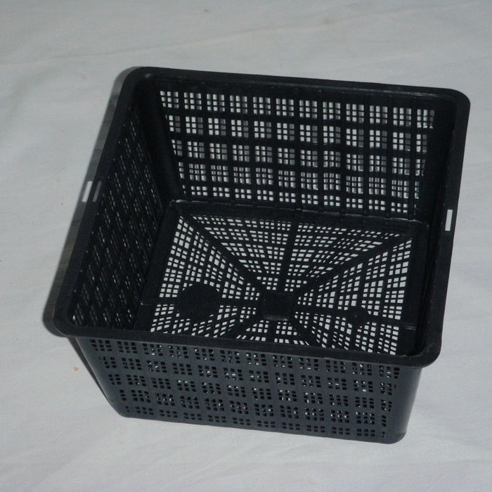 Buy Square Aquatic Pot 19cm online UK