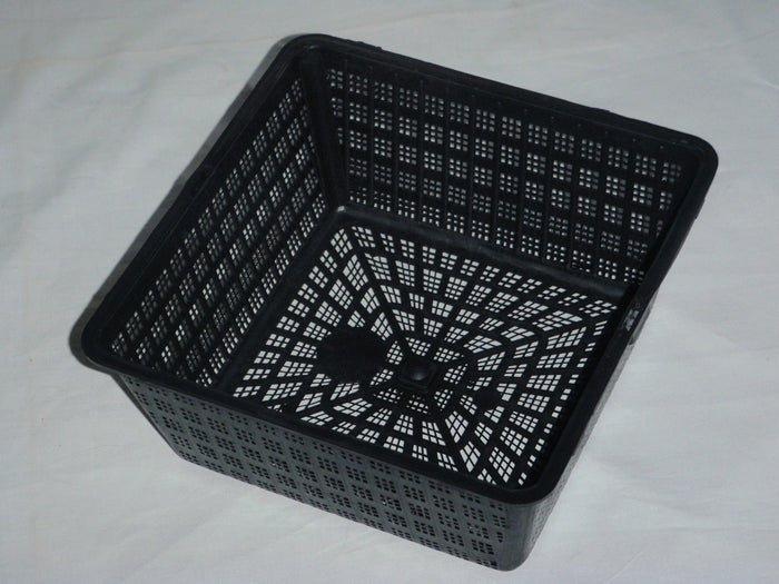 Buy Square Aquatic Pot 20cm online UK