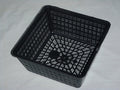 Buy Square Aquatic Pot 20cm online UK