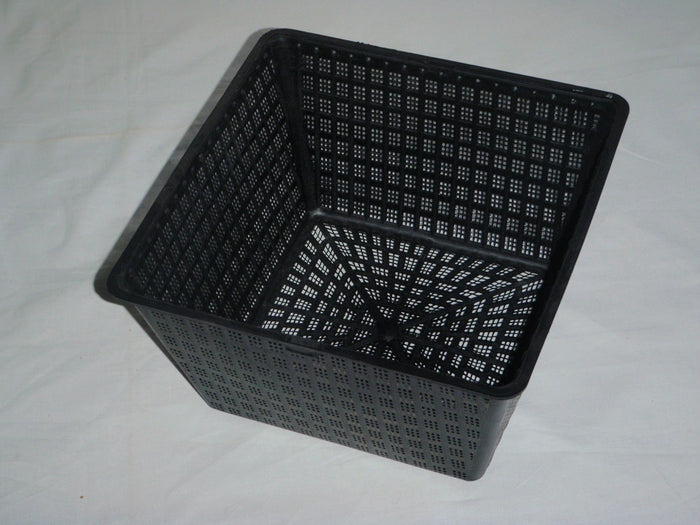 Buy Square Aquatic Pot 29cm online UK