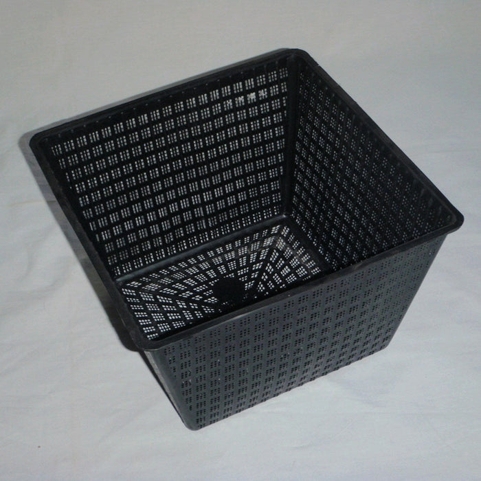 Buy Square Aquatic Pot 40cm online UK