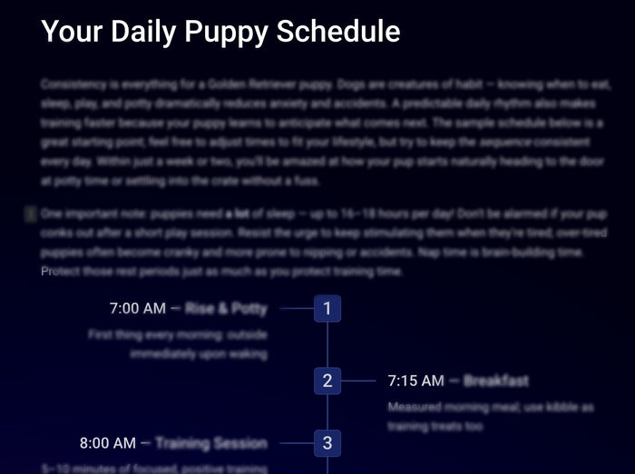 The 2026 Golden Retriever Training & Wellness System