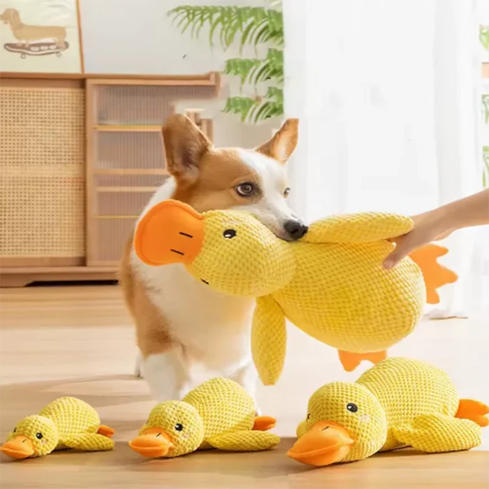 CuddleQuack Duck image 2