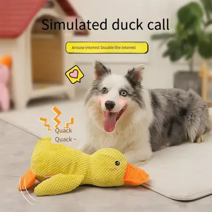 CuddleQuack Duck image 3