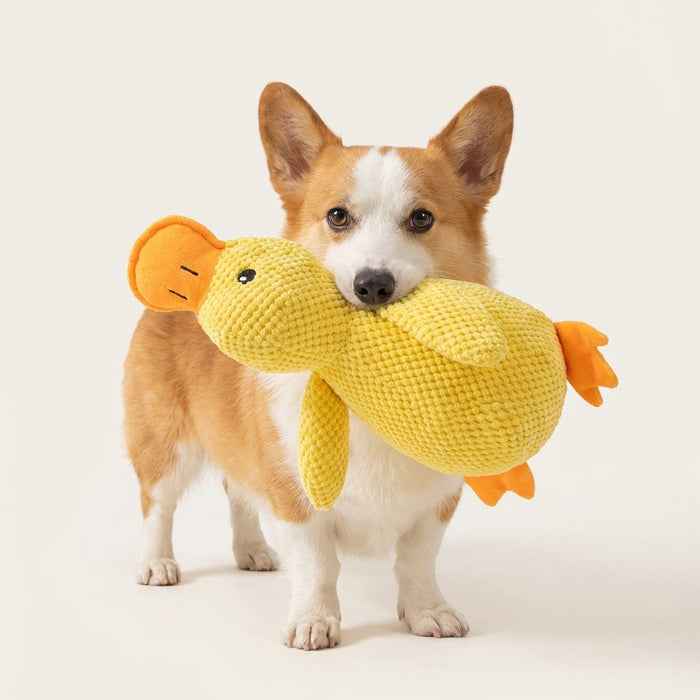 CuddleQuack Duck