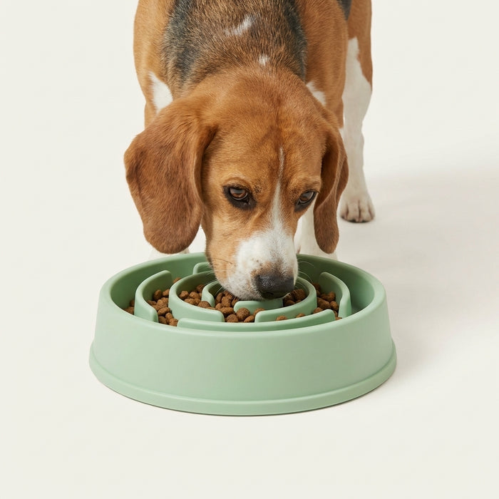 MazePace Bowl image 1
