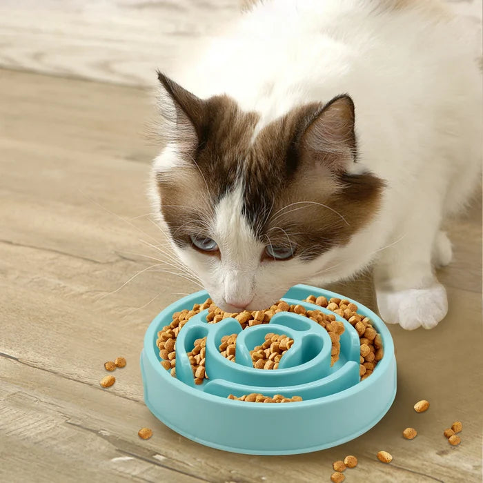MazePace Bowl image 7