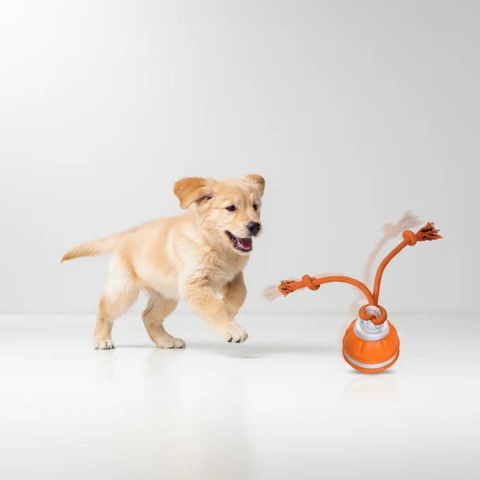 The Wobble-Tug Ball | Motion-Activated Interactive Toy