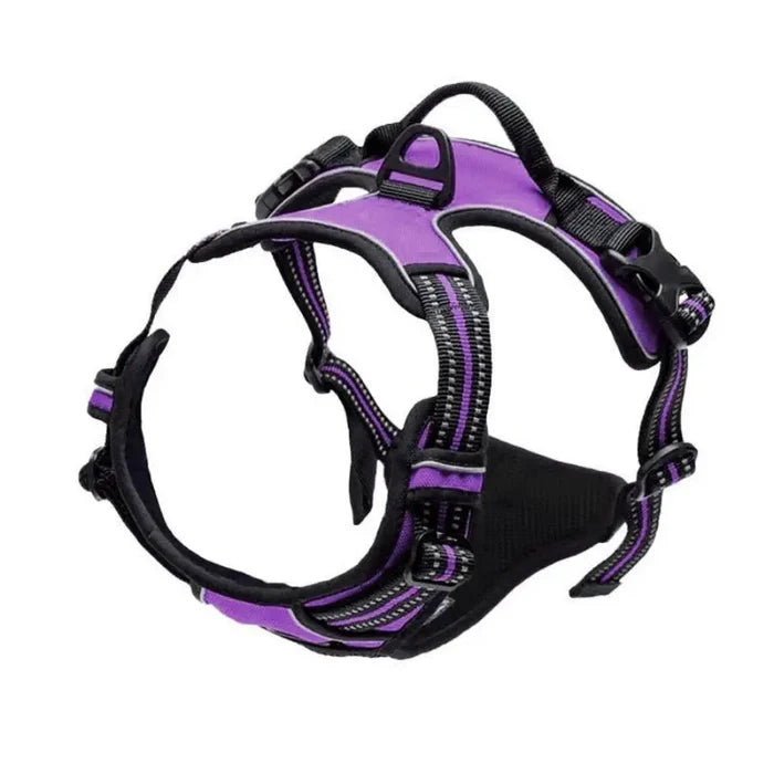 S / Purple