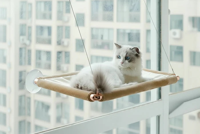 Window-Mounted Cat Hammoc