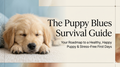 Your Roadmap to a Healthy, Happy Puppy & Stress-Free First Days