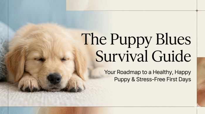 Your Roadmap to a Healthy, Happy Puppy & Stress-Free First Days